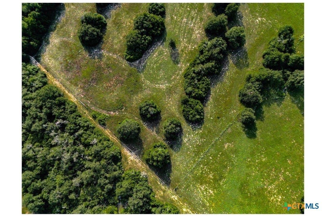 53.76 acres in Milam County - photo 8