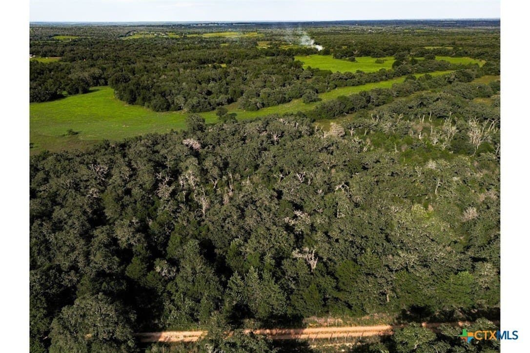 53.76 acres in Milam County - photo 13