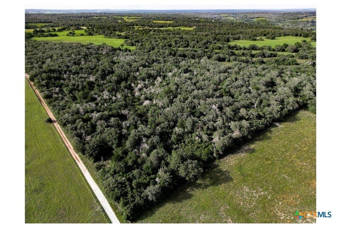 53.76 acres in Milam County - photo 12