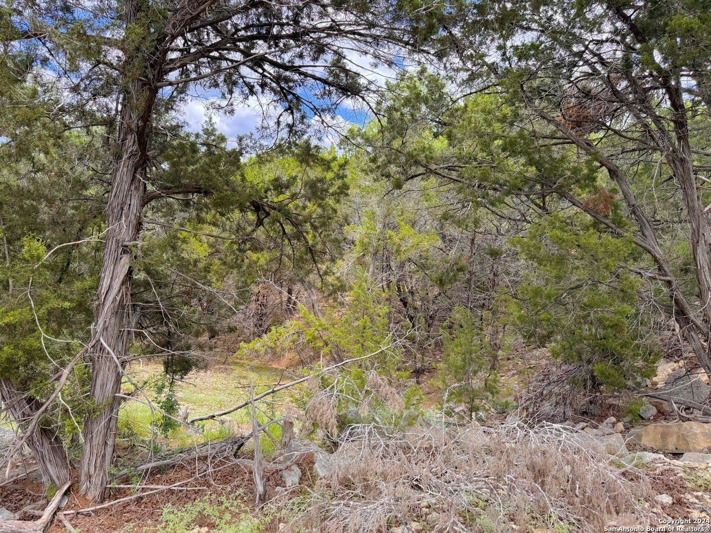 1.02 acres in Comal County featured view