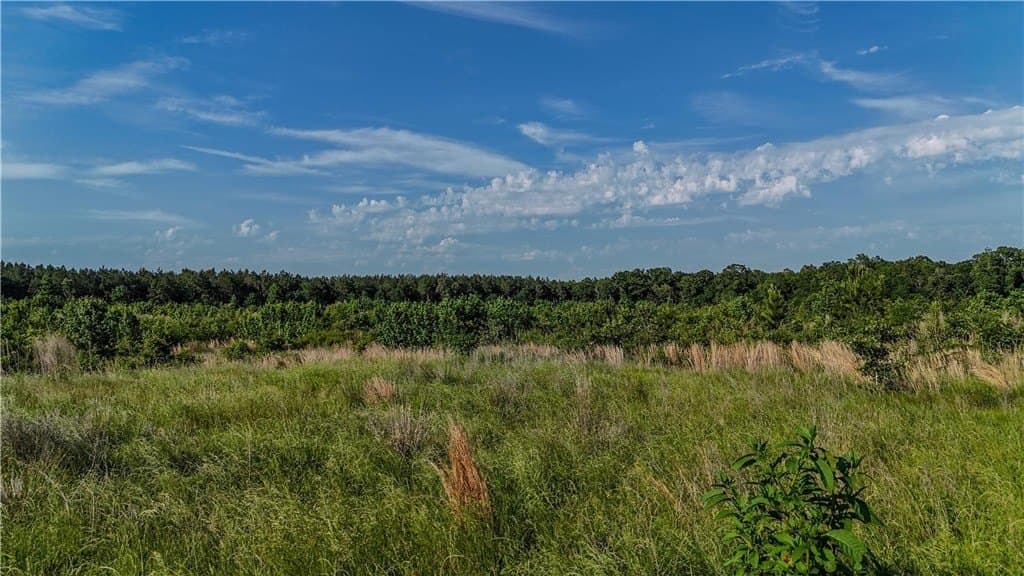 105.88 acres in RED RIVER County - photo 10