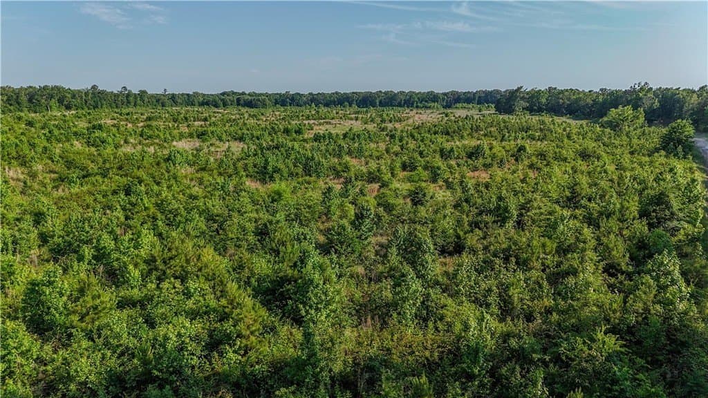 105.88 acres in RED RIVER County - photo 9