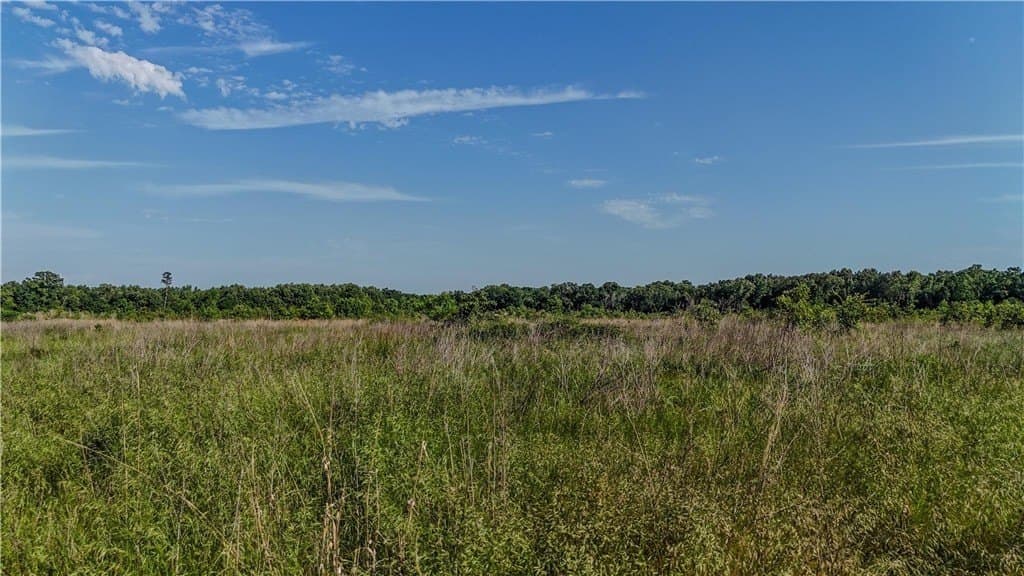 105.88 acres in RED RIVER County - photo 20