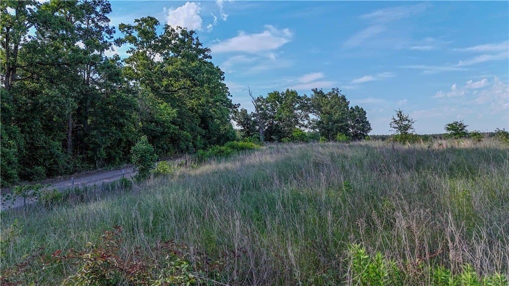 105.88 acres in RED RIVER County - photo 4