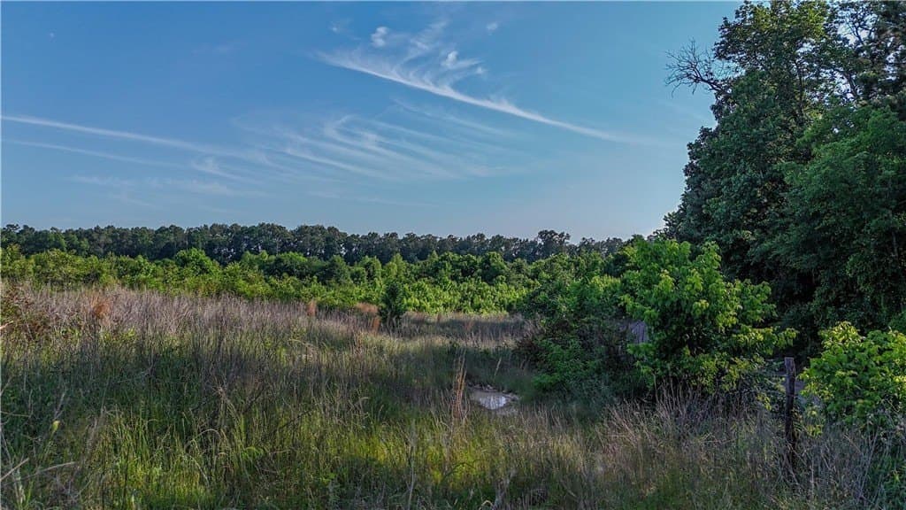 105.88 acres in RED RIVER County - photo 17