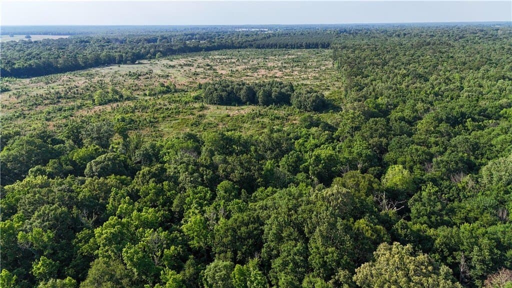 105.88 acres in RED RIVER County - photo 3