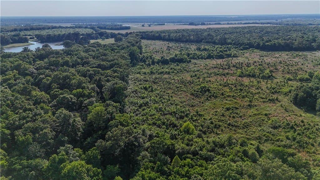 105.88 acres in RED RIVER County - photo 2