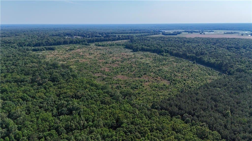105.88 acres in RED RIVER County - photo 23