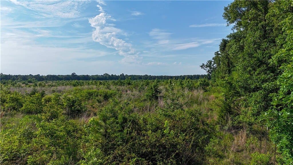 105.88 acres in RED RIVER County - photo 27
