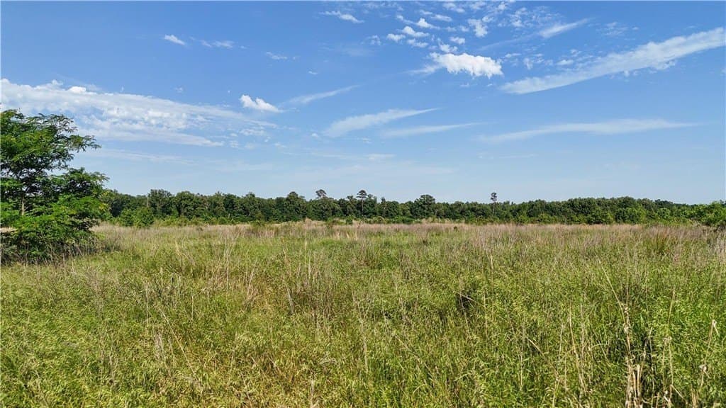 105.88 acres in RED RIVER County - photo 15