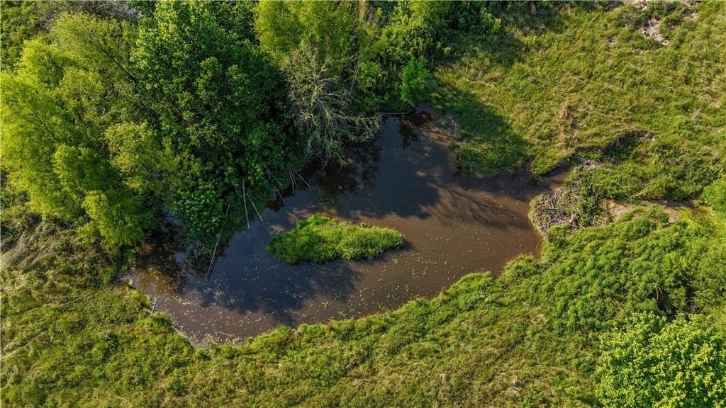 105.88 acres in RED RIVER County - photo 29