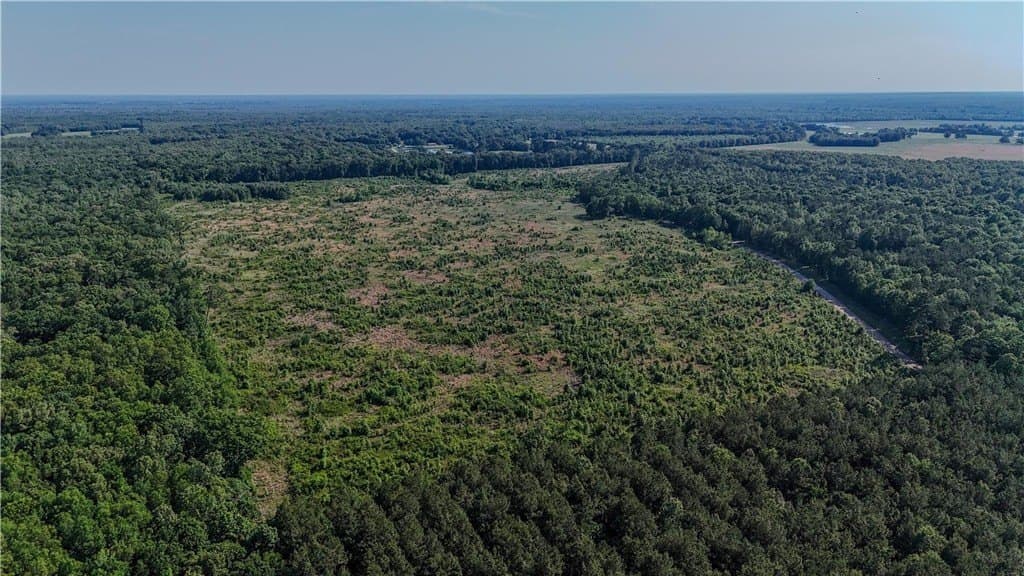 105.88 acres in RED RIVER County - photo 22