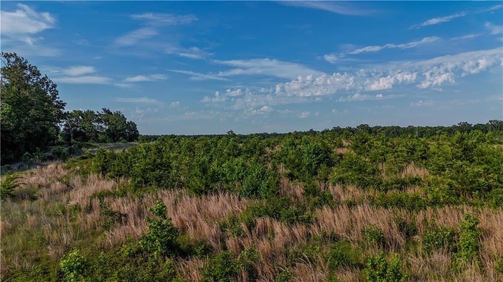 105.88 acres in RED RIVER County - photo 19