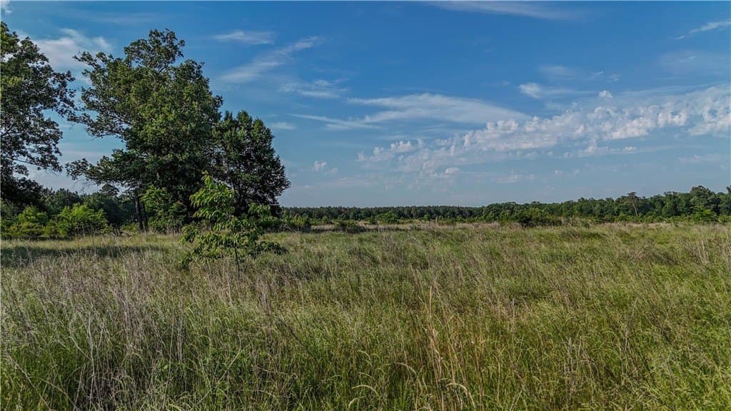 105.88 acres in RED RIVER County - photo 16