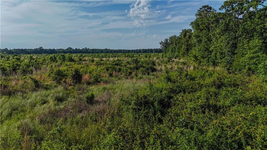 105.88 acres in RED RIVER County - photo 6