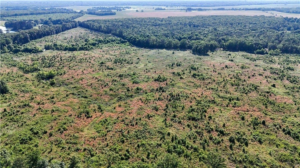 105.88 acres in RED RIVER County - photo 25