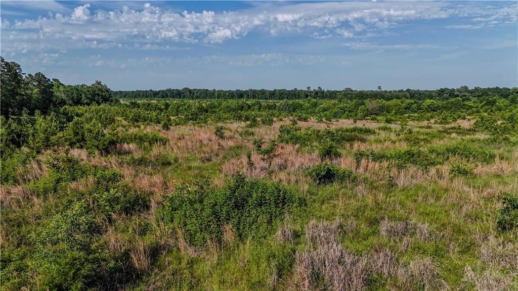 105.88 acres in RED RIVER County - photo 30