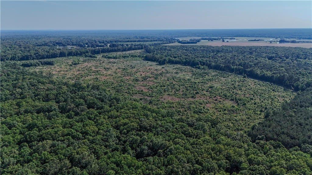 105.88 acres in RED RIVER County - photo 24