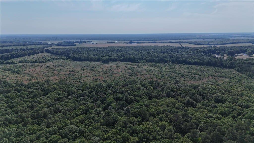 105.88 acres in RED RIVER County - photo 26