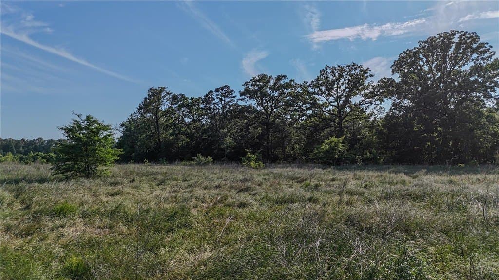 105.88 acres in RED RIVER County - photo 21