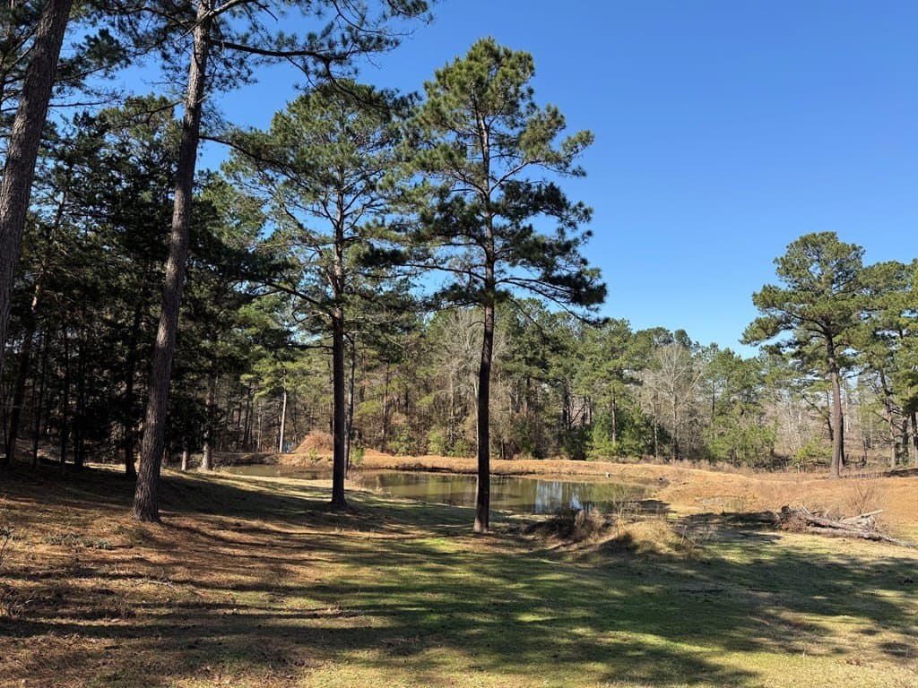 30.57 acres in Texas County gallery image 4