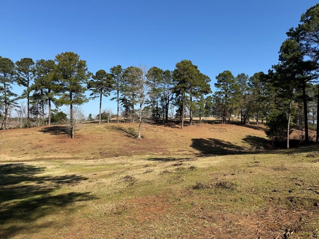 30.57 acres in Texas County gallery image 2