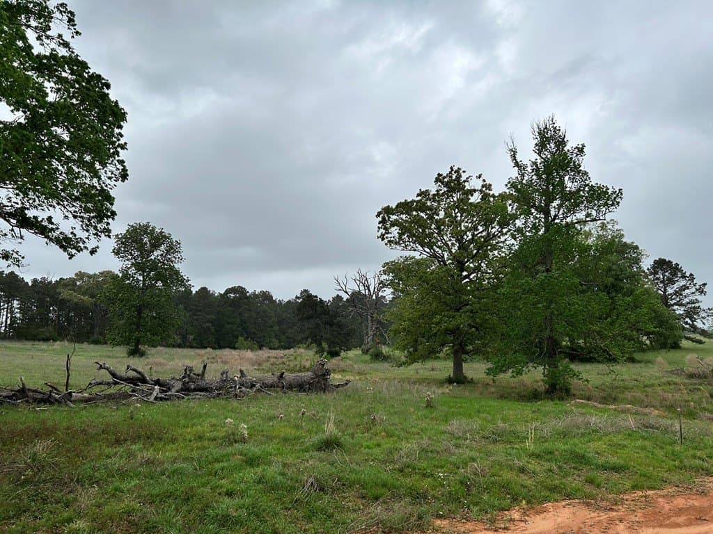5 acres in Texas County - photo 2