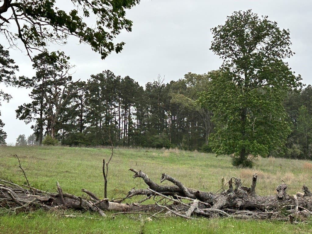 5 acres in Texas County - photo 12