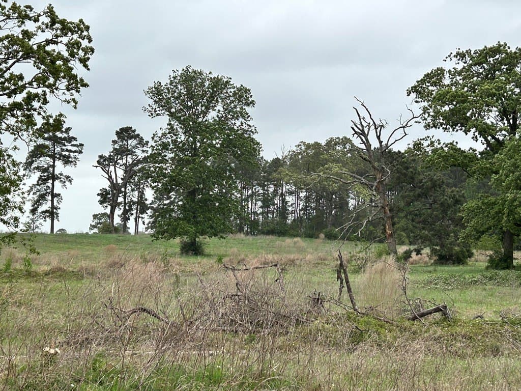 5 acres in Texas County - photo 10