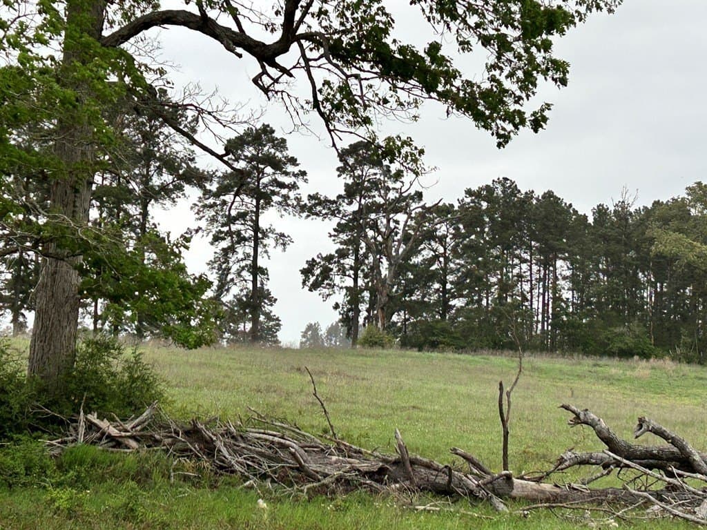 5 acres in Texas County - photo 11