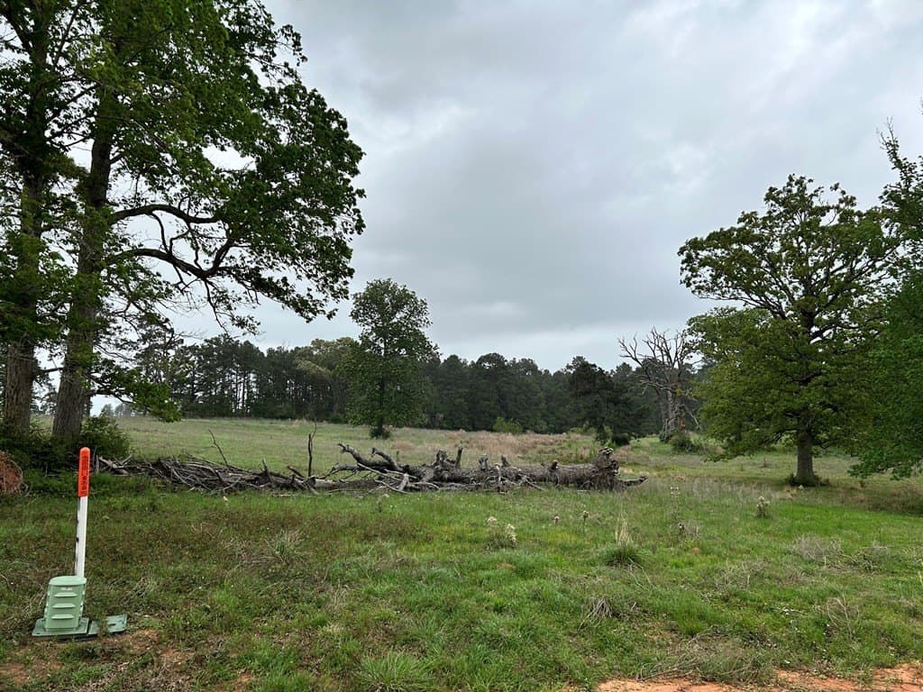 5 acres in Texas County - photo 7