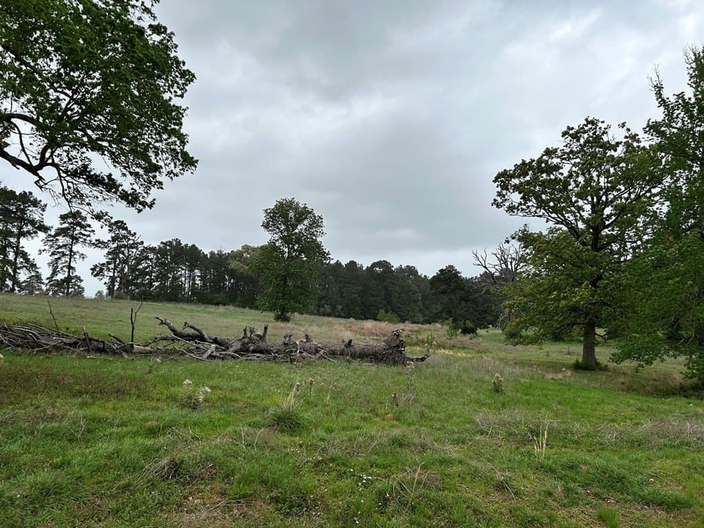 5 acres in Texas County - photo 3