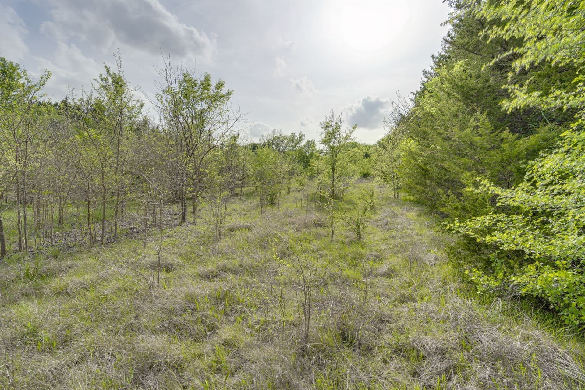 12 acres in Dallas County - photo 15