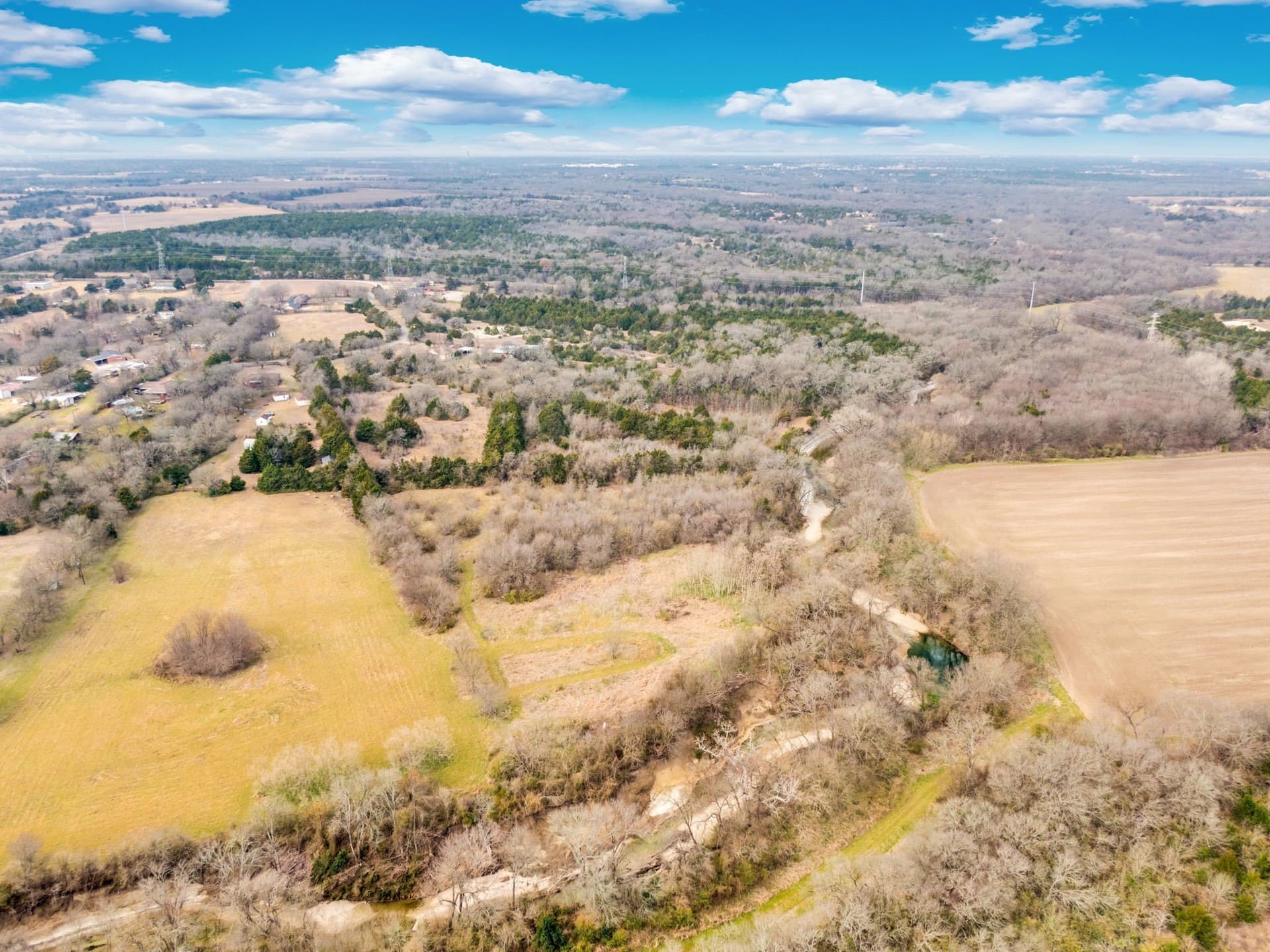 12 acres in Dallas County - photo 9