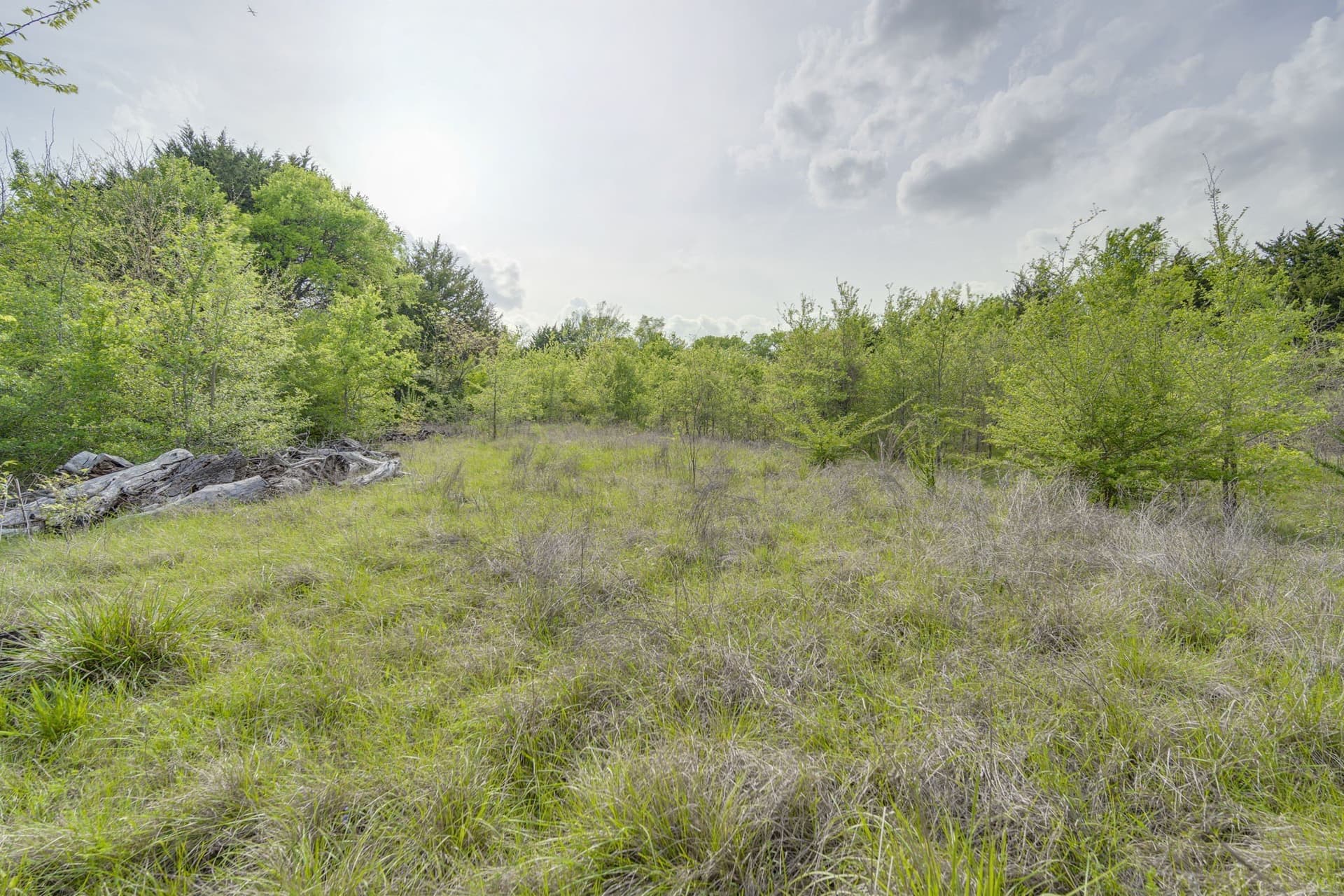12 acres in Dallas County - photo 14