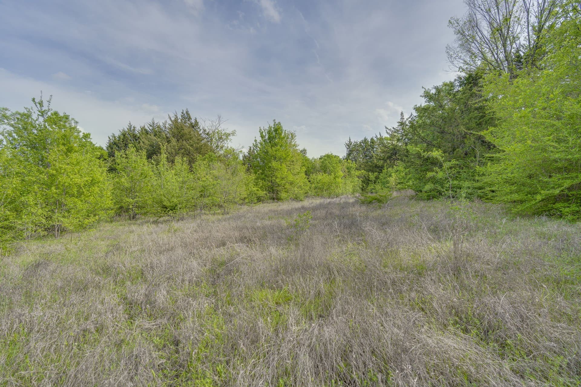 12 acres in Dallas County - photo 16