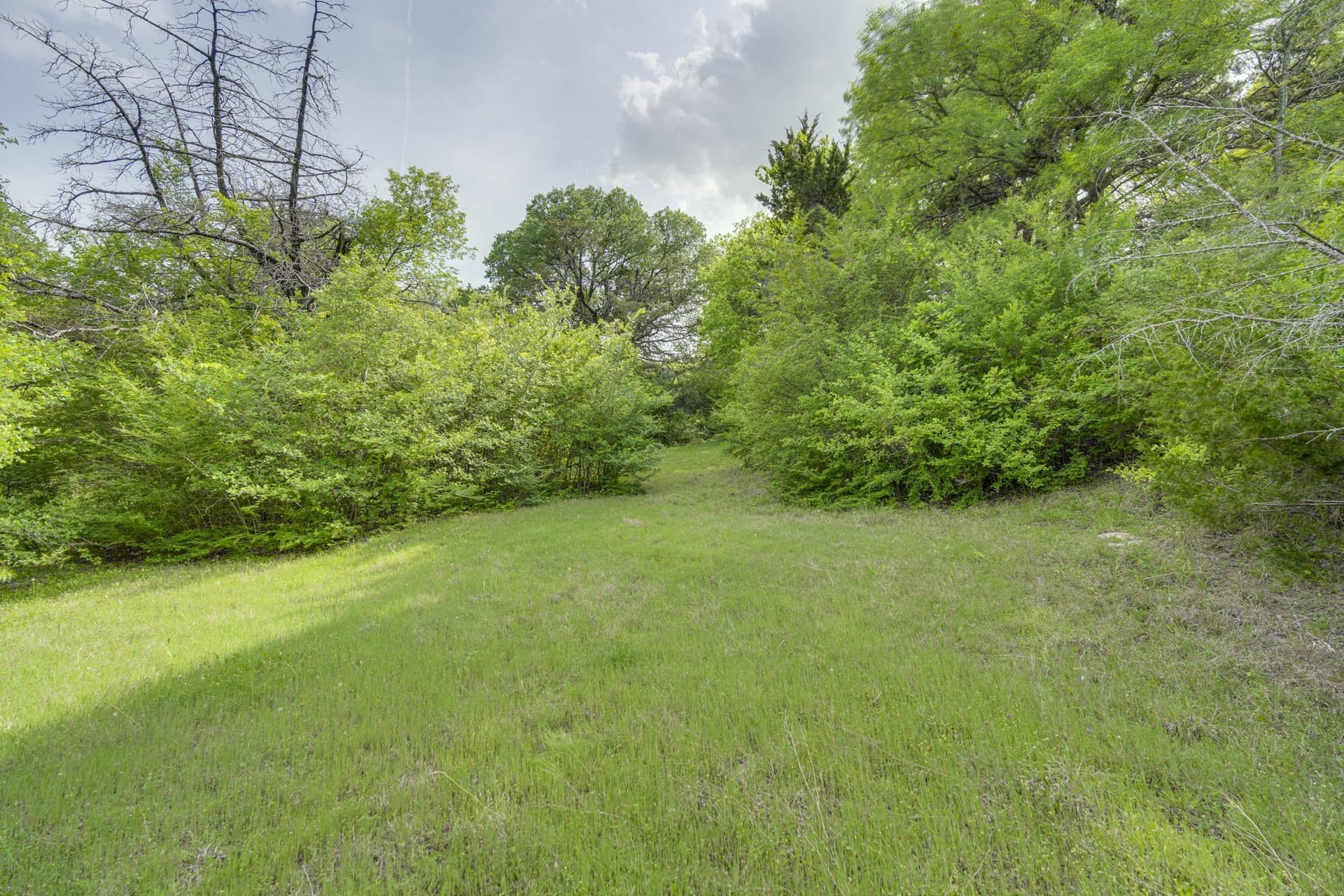 12 acres in Dallas County - photo 10
