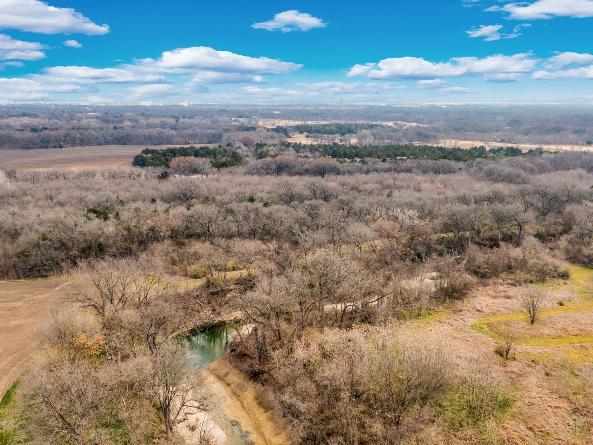 12 acres in Dallas County - photo 25