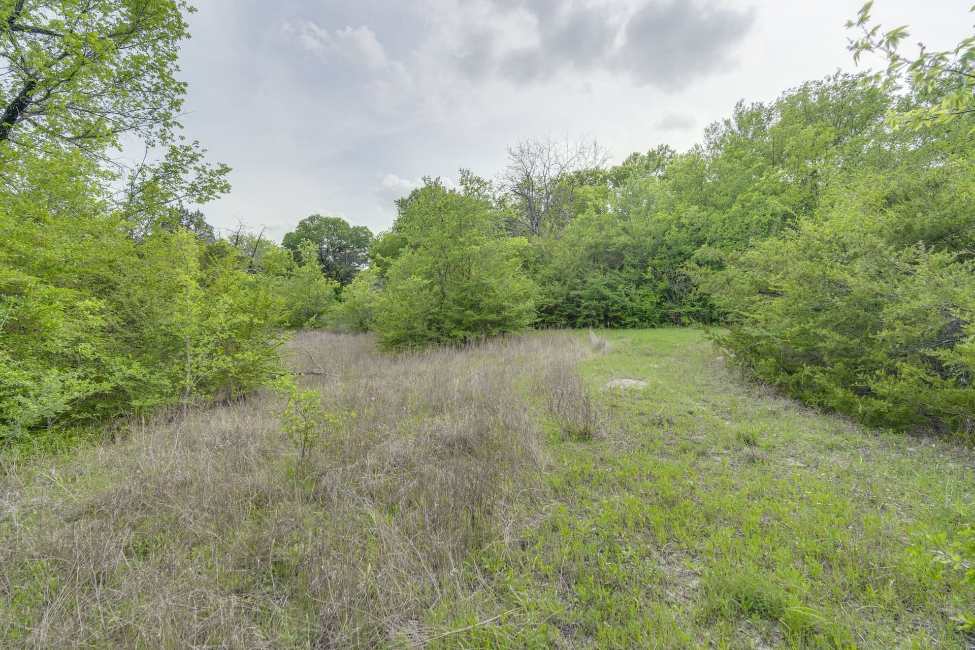 12 acres in Dallas County - photo 19