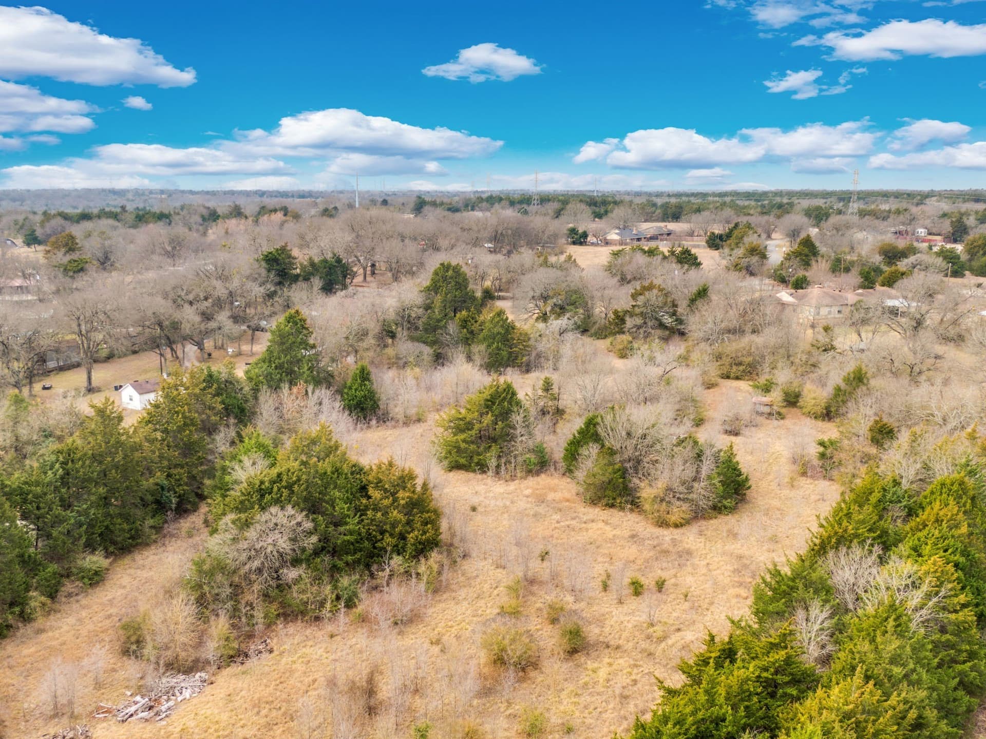 12 acres in Dallas County - photo 29
