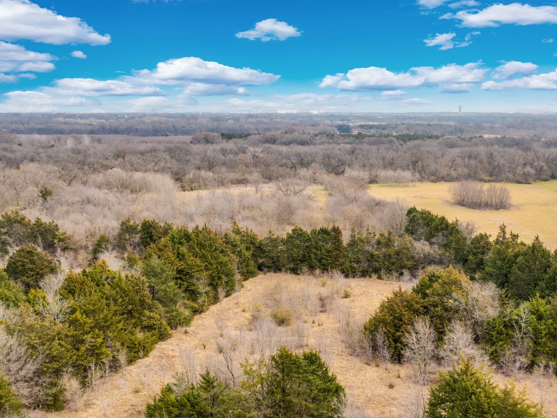 12 acres in Dallas County - photo 28
