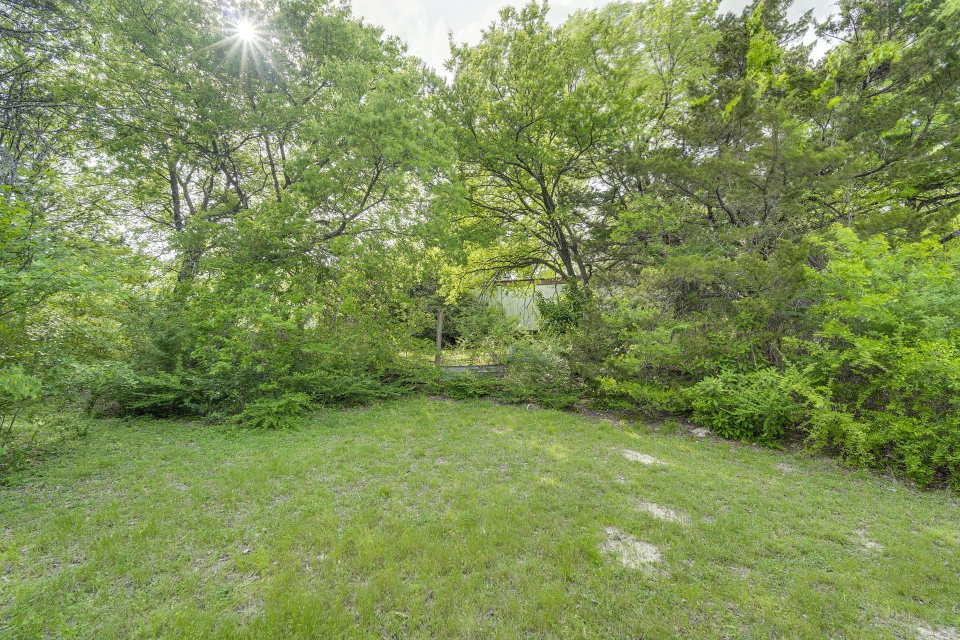 12 acres in Dallas County - photo 20