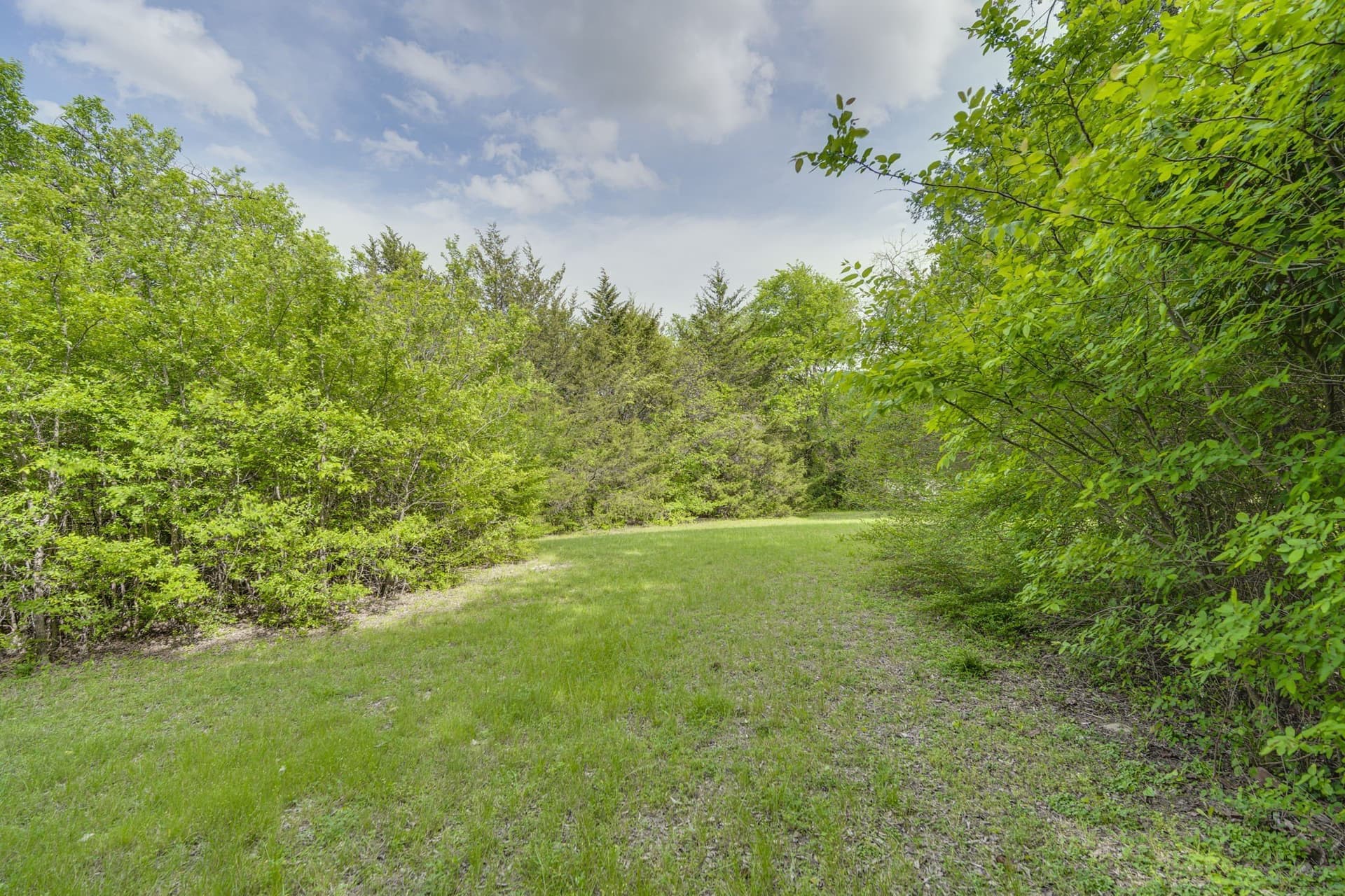 12 acres in Dallas County - photo 8