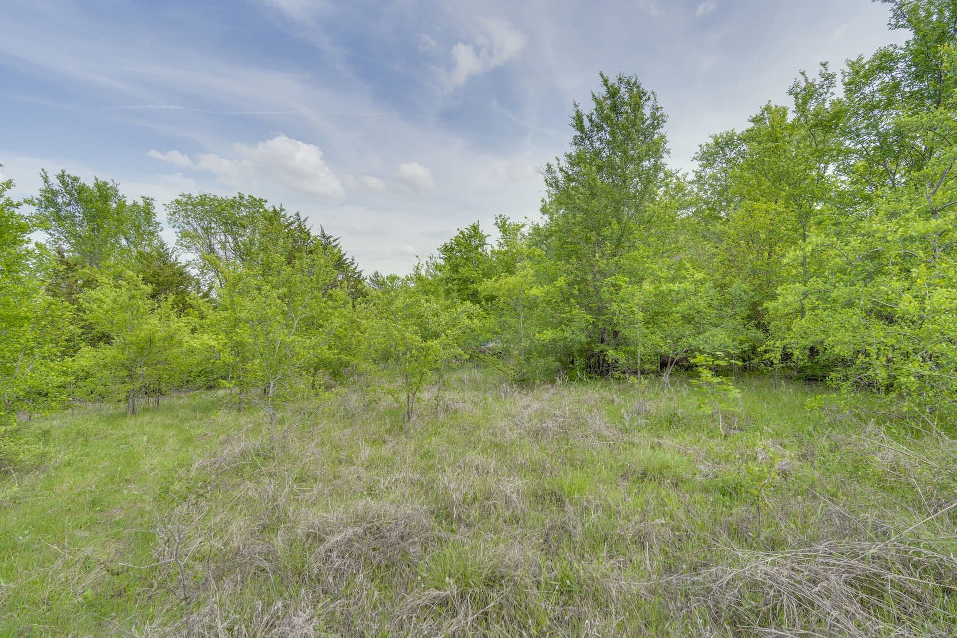 12 acres in Dallas County - photo 11