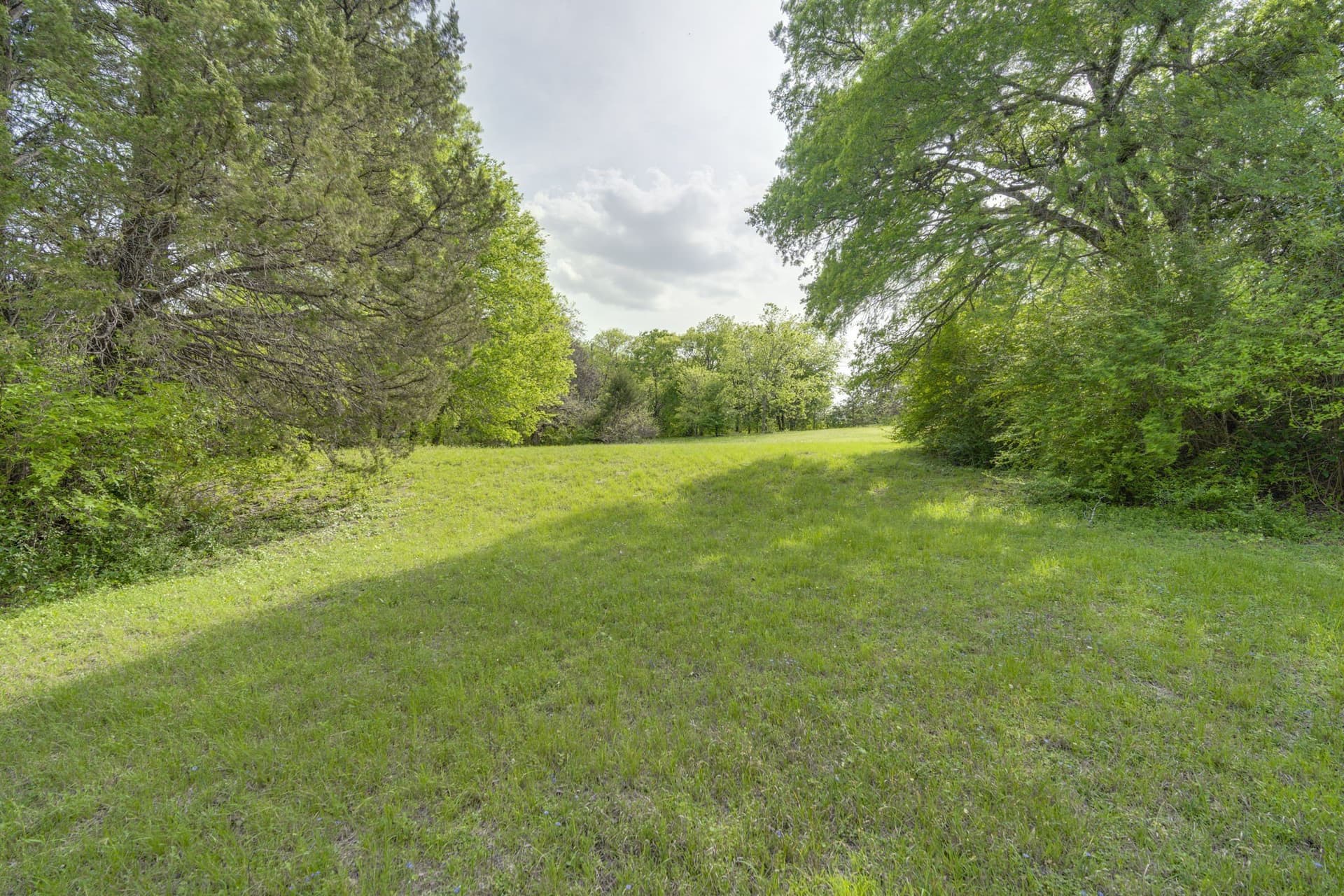 12 acres in Dallas County - photo 21