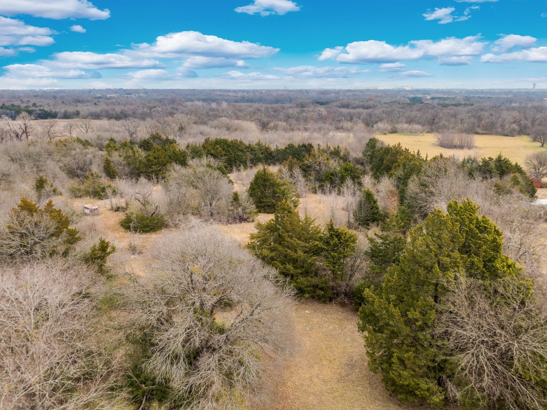 12 acres in Dallas County - photo 31