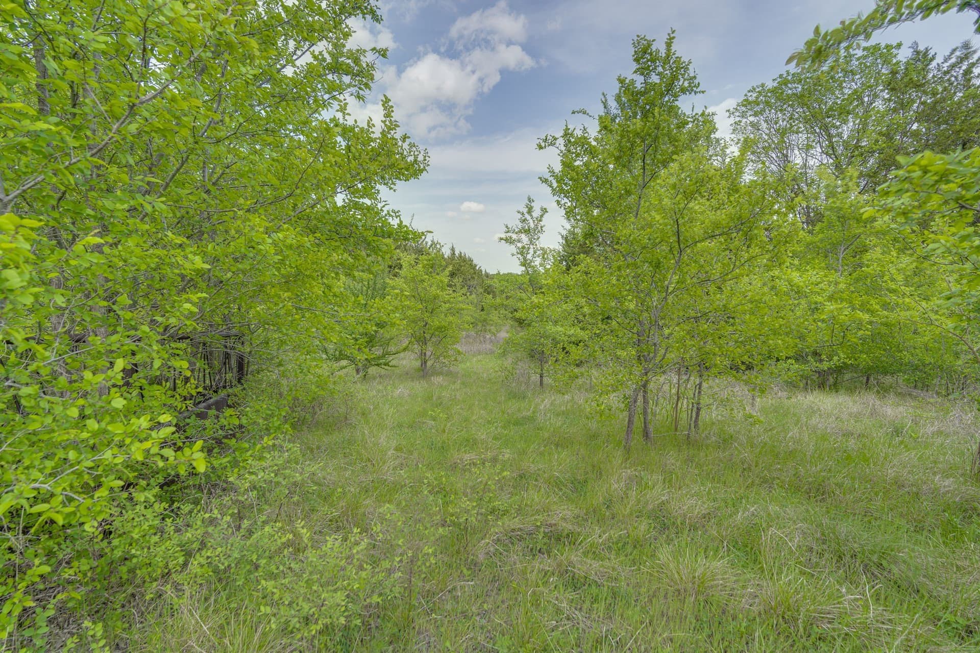 12 acres in Dallas County - photo 12