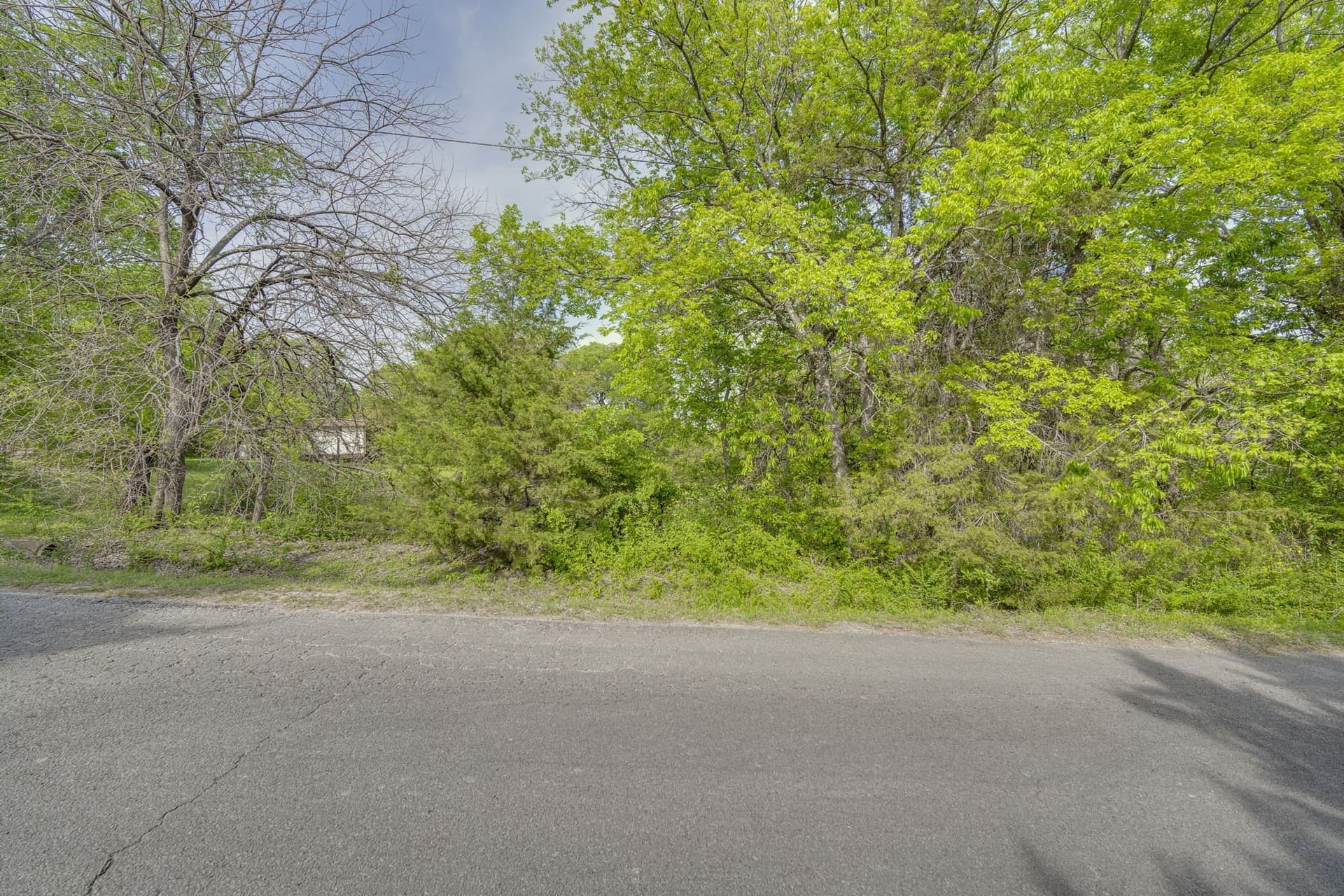 12 acres in Dallas County - photo 23