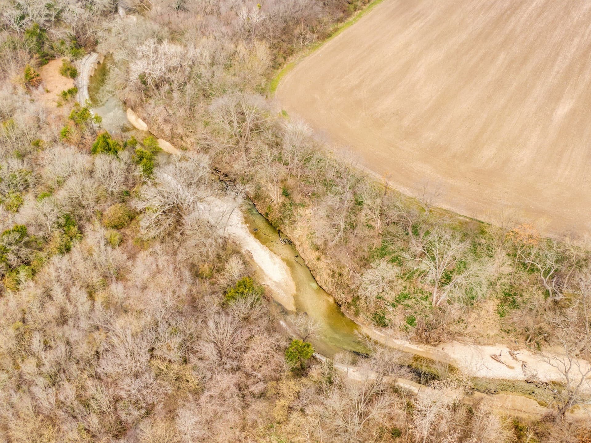 12 acres in Dallas County - photo 24