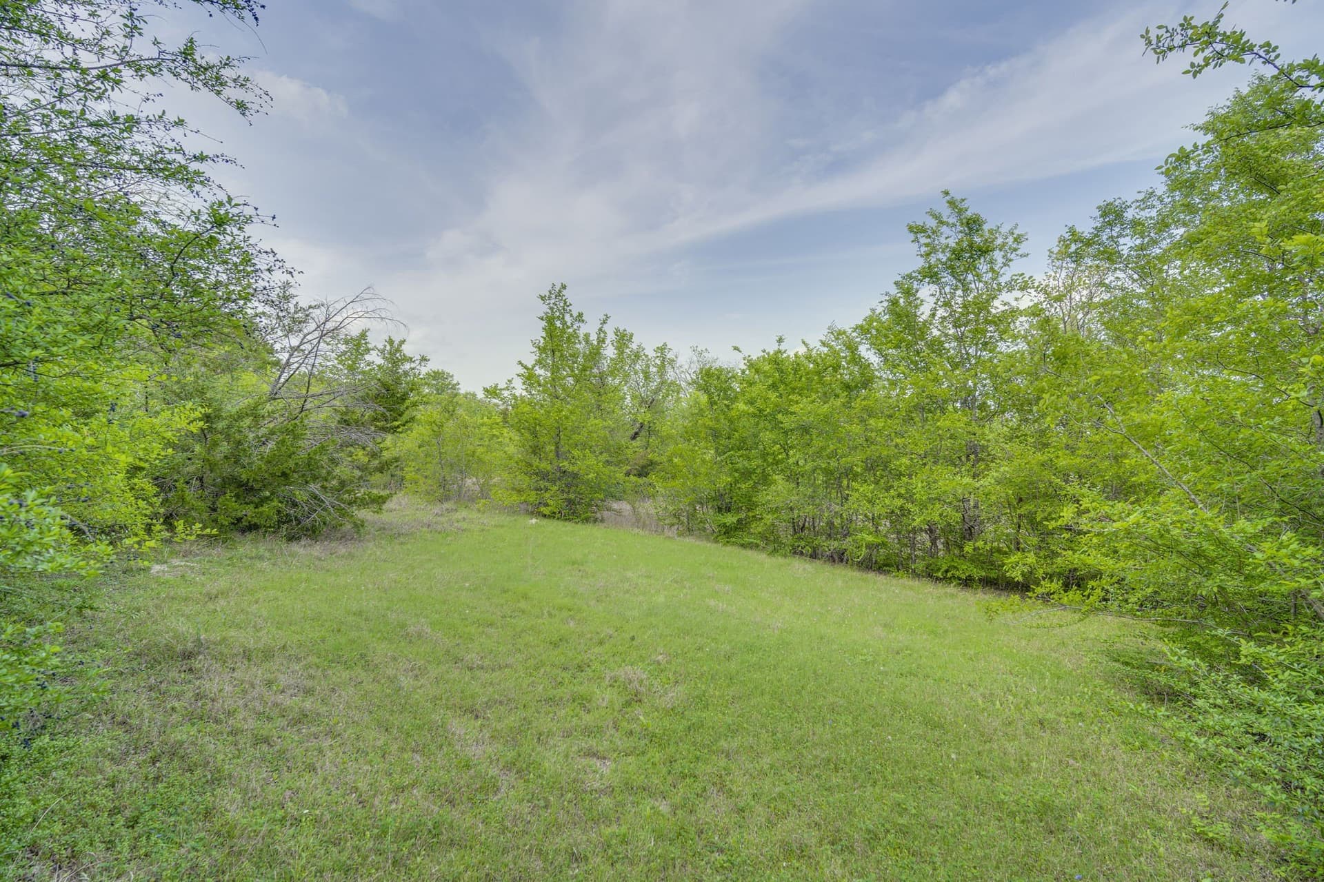 12 acres in Dallas County - photo 17
